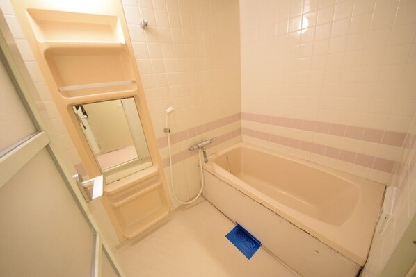 リズ市川平田の物件内観写真